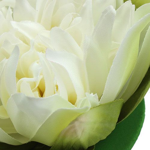 Floristik24 Kunst lotusbloem crème 13cm 4st