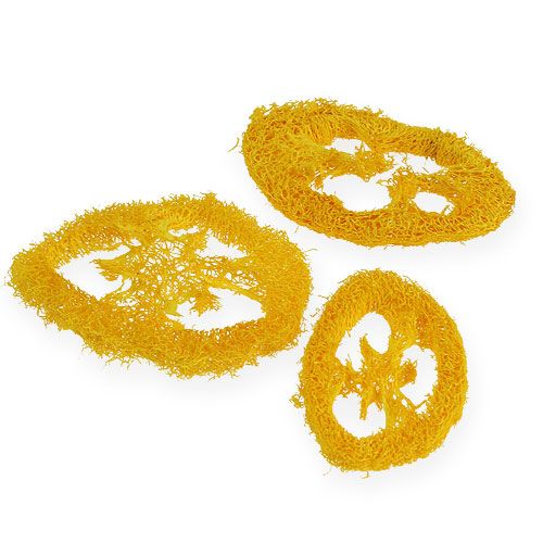 Floristik24 Luffa schijven geel 25 st