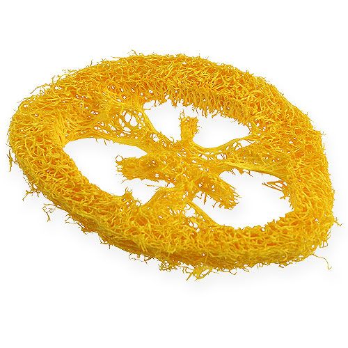 Floristik24 Luffa schijven geel 25 st