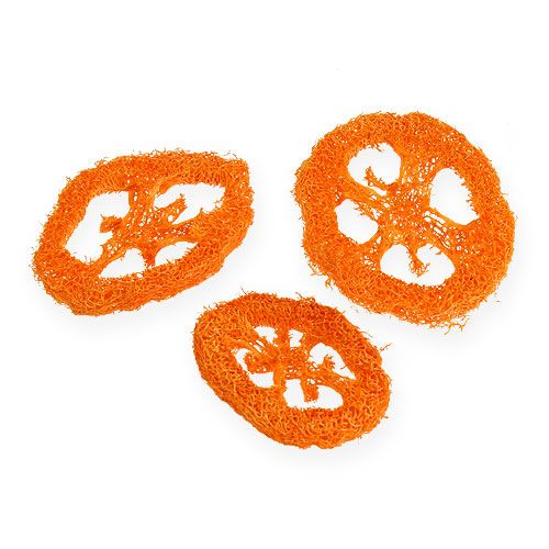 Floristik24 Loofah Plakjes Oranje 25st