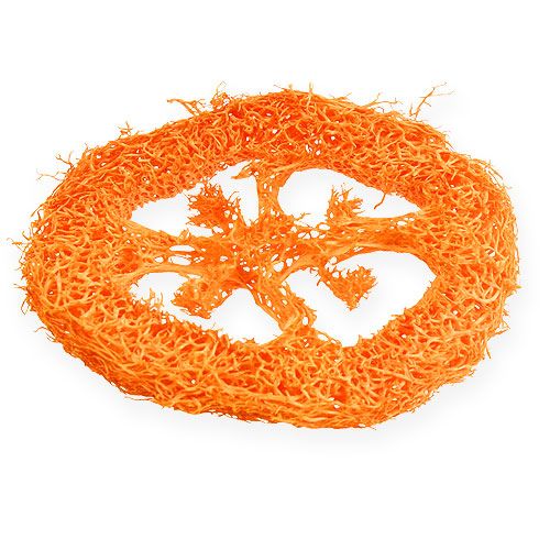 Floristik24 Loofah Plakjes Oranje 25st