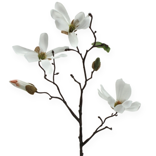 Floristik24 Decoratieve tak Magnolia 40cm wit 4st