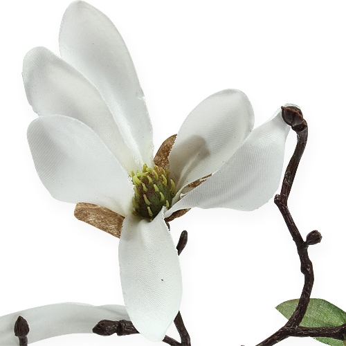 Floristik24 Decoratieve tak Magnolia 40cm wit 4st