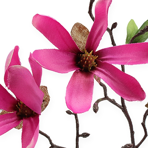 Artikel Magnoliatak roze 45cm 4st