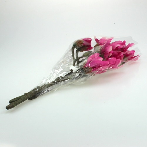 Floristik24 Magnoliatak 45cm 3st
