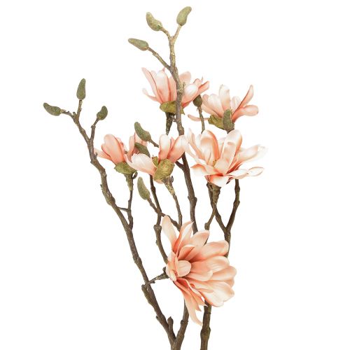 Floristik24 Magnolia tak met 6 bloemen Magnolia kunstzalm 84cm
