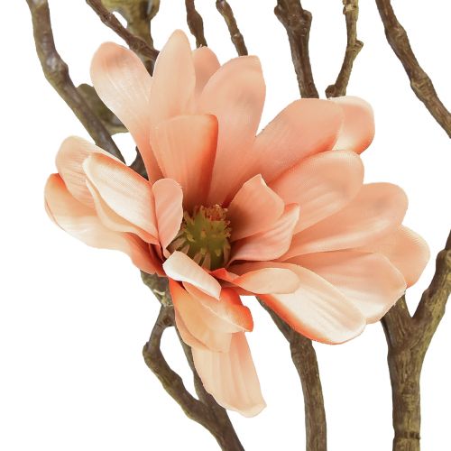 Floristik24 Magnolia tak met 6 bloemen Magnolia kunstzalm 84cm