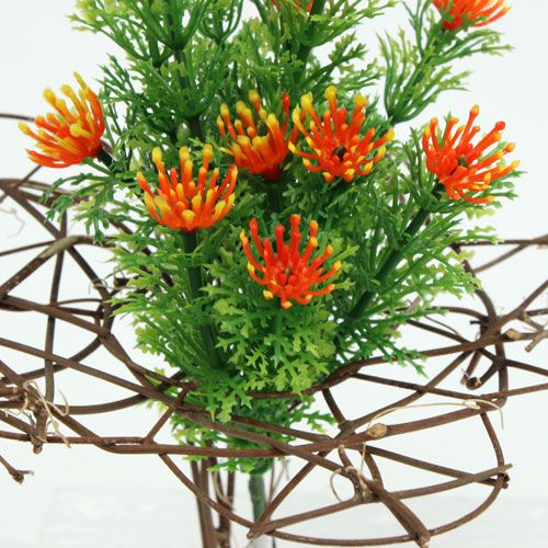 Floristik24 Wijnstok manchet Ø15cm 8st