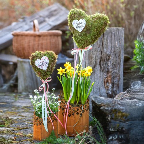 Floristik24 Metalen decoratieve roest lantaarn plantenbak metaal Ø12cm H17cm
