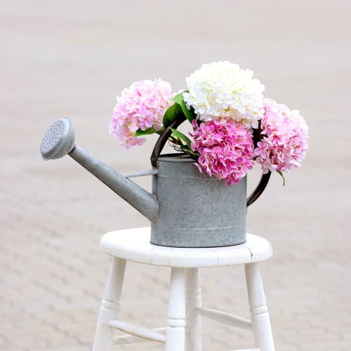 Floristik24 Metalen gieter, tuindecoratie vintage look zilvergrijs L53cm H29cm