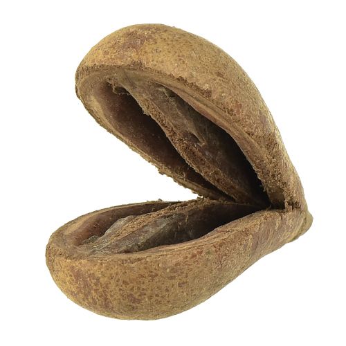 Floristik24 Mike Fruit Natuurlijke Materialen Bagon Fruit Naturel 8cm 50 st