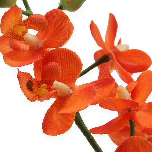 Floristik24 Mini-orchidee Real Touch oranje 35cm