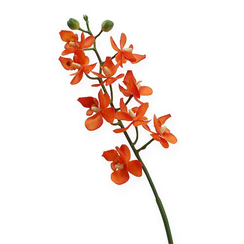 Floristik24 Mini-orchidee Real Touch oranje 35cm