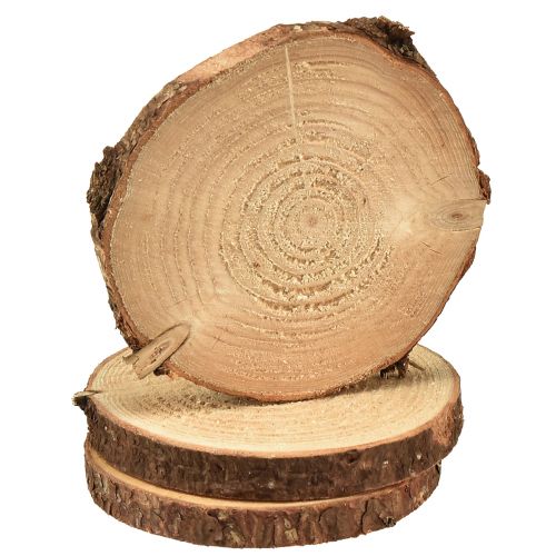 Artikel Miniboomschijf met schors natuurlijke houtdecoratie Ø8-9cm 9st