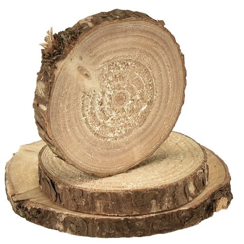 Artikel Mini houten schijven decoratieve boomschijven naturel Ø3-6cm 600g