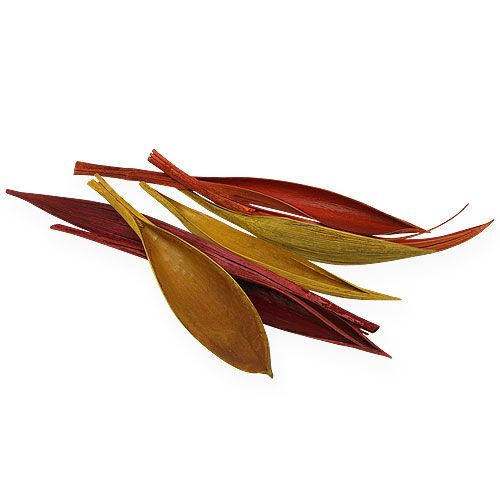 Floristik24 Kokosblad mini 3-kleurig ass. 0,5 kg