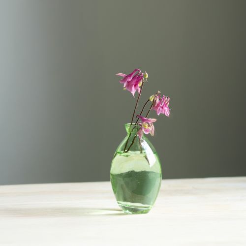 Floristik24 Mini vaasjes glas bolvormige glazen vazen groen getint H12cm 6 stuks