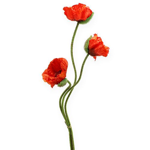 Kunstbloem klaproos oranje 75cm 3st