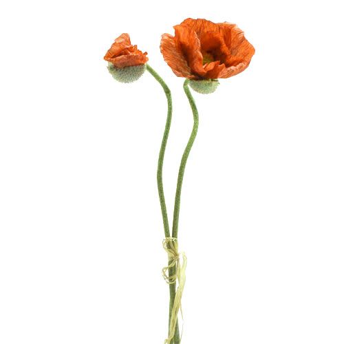 Floristik24 Papaver oranje 67cm 2st