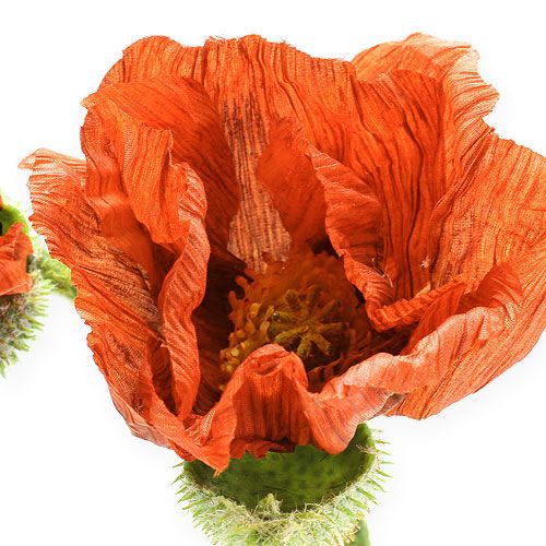 Floristik24 Papaver oranje 67cm 2st
