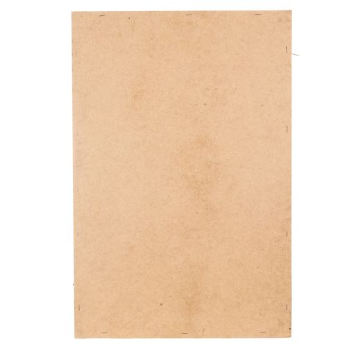 Artikel Mosfoto, echt geconserveerd mos en takjes, natuurlijk, 60×40cm