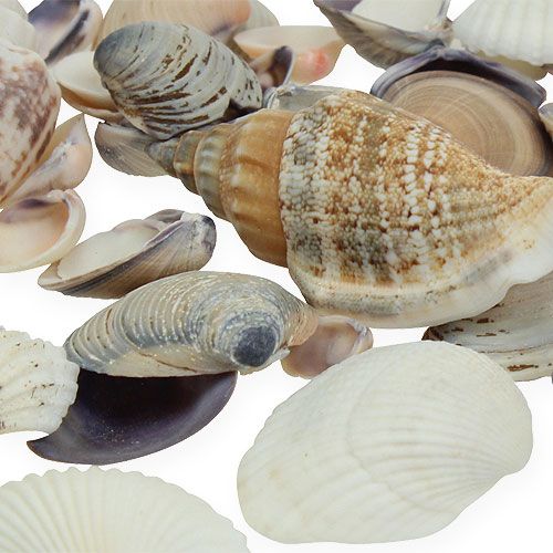 Artikel Natuurlijke mosselmix 400g