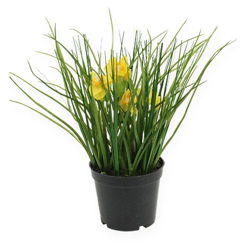 Floristik24 Paasklokken met gras in een pot 25cm