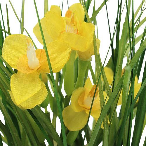 Floristik24 Paasklokken met gras in een pot 25cm