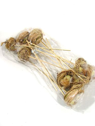 Floristik24 Vogelnest met eieren op de stok 6cm 6st