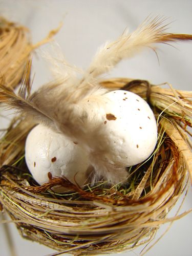 Floristik24 Vogelnest met eieren op de stok 6cm 6st