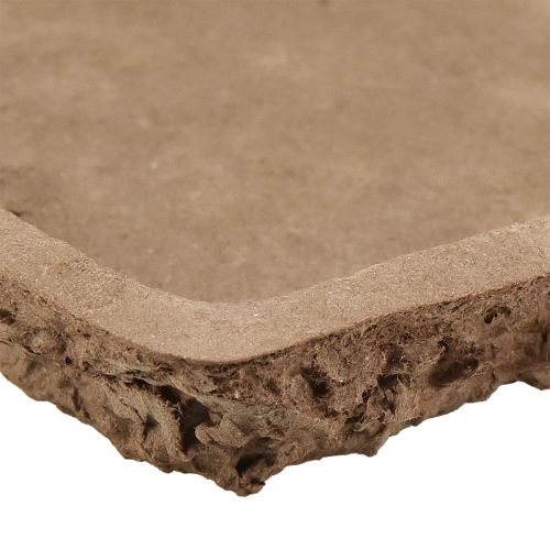 Artikel Oasis Biolit ondervloer voor steekschuimstenen 25×14×2cm 11 st