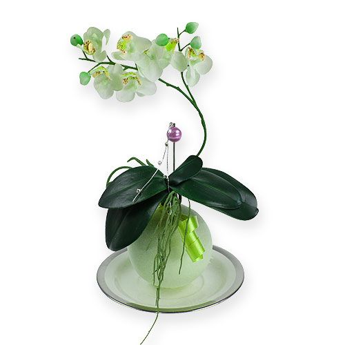 Floristik24 Bloemenschuim ballen groen 9cm 4st