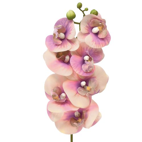 Artikel Orchidee Phalaenopsis kunst 7 bloemen paars crème 73cm