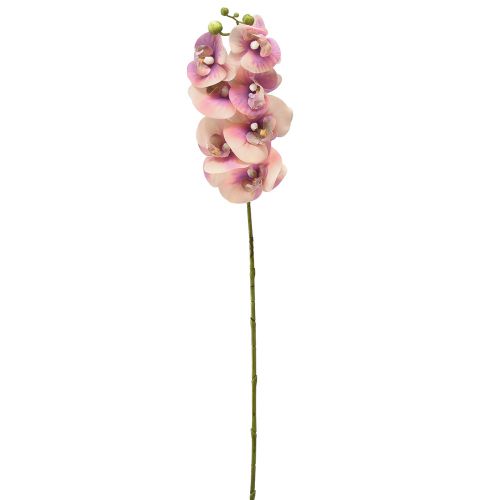 Artikel Orchidee Phalaenopsis kunst 7 bloemen paars crème 73cm