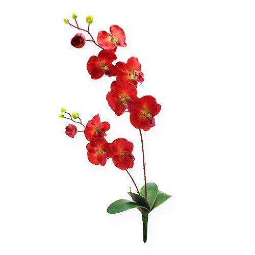 Decoratie orchidee rood 68cm