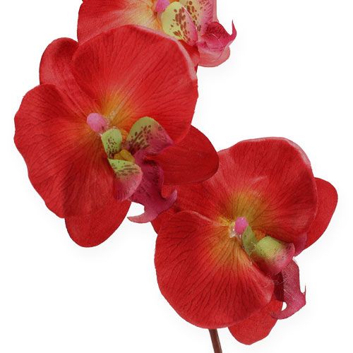 Artikel Decoratie orchidee rood 68cm