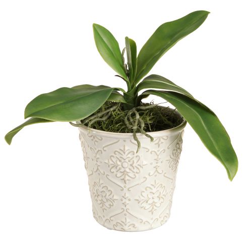 Artikel Orchideebladeren met luchtwortels kunstmatig 34x8x18cm