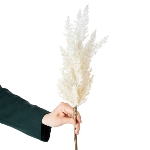 Artikel Wit pampasgras, kunstmatig gedroogd gras, kunstplanten