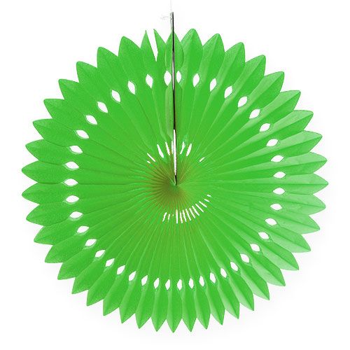 stil Afrika ondernemen Floristik24.nl Honingraat papier bloem groen Ø40cm 4st - goedkoop online  kopen