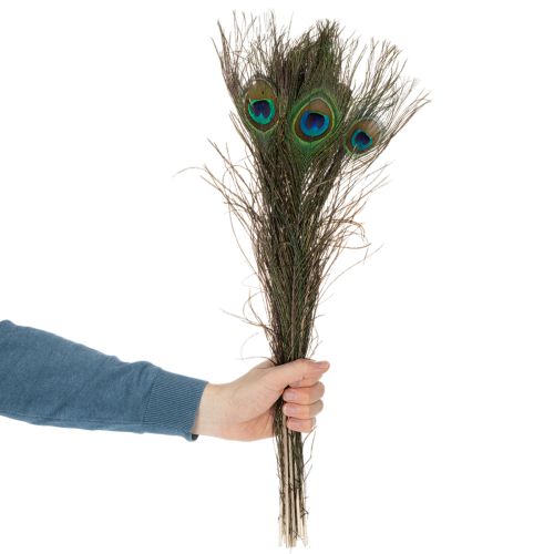 Artikel Pauwenveren, echte vogelveren voor knutselen en decoreren, 55 cm, 10 stuks