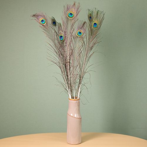 Artikel Pauwenveren decoratie echte vogelveren lang 75-85cm 8 stuks