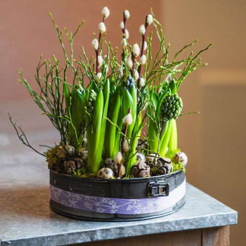 Floristik24 Plantenbak, decoratieve bakvorm, springvorm voor beplanting, metalen decoratie Ø24cm H7,5cm