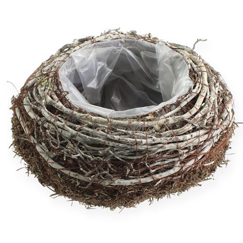 Floristik24 Plantenschaal Ø18cm