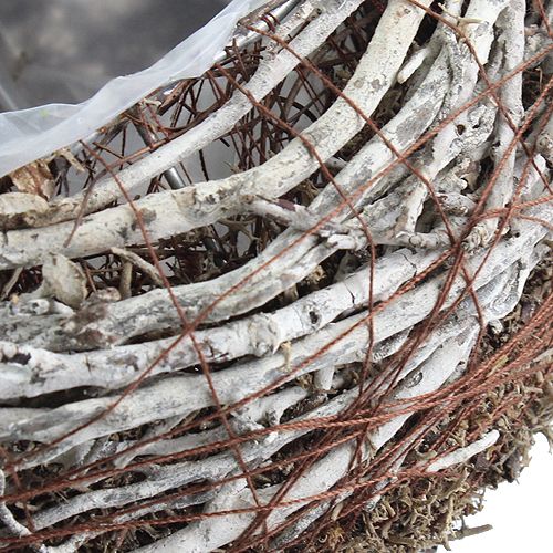 Floristik24 Plantenschaal Ø18cm