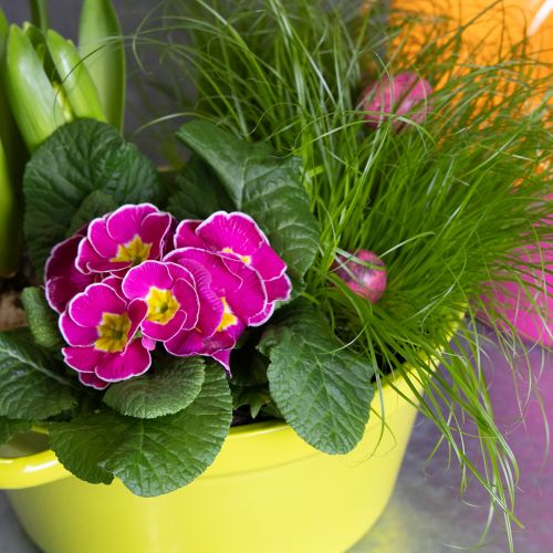 Artikel Bloempot van plaatstaal, lentedecoratie voor de woonkamer, 25 cm, 3 stuks