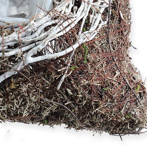 Floristik24 Plantenschaal hoekig 20cm x 20cm