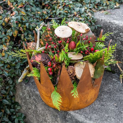 Floristik24 Plantenpot roest sierschaal metalen sierkroon vintage Ø30cm
