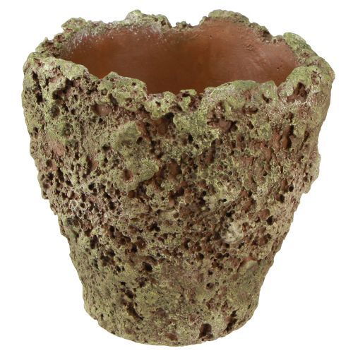 Floristik24 Plantenpot rustieke plantenbak moslook Ø17cm H16,5cm 4st