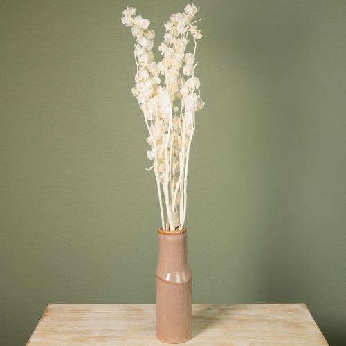 Artikel Gedroogde Physalis, gebleekte Chinese lantaarnbloem, decoratieve Nicandra, 75-80 cm, 100 g