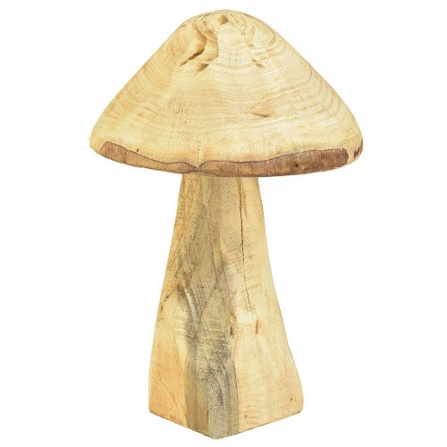 Floristik24 Natuurlijke decoratieve paddenstoel gemaakt van iepenhout houten paddenstoel 27cm